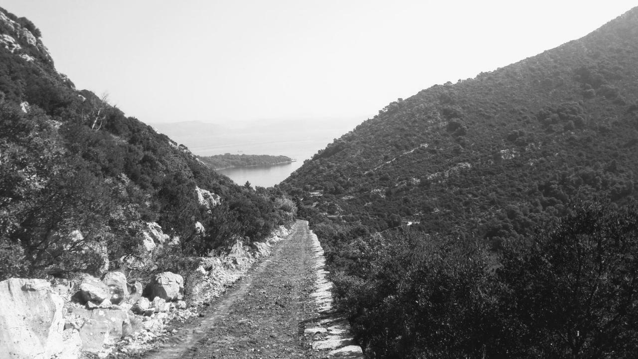 Authentic Ap For 2, Babino Polje,Mljet Lejlighed Eksteriør billede