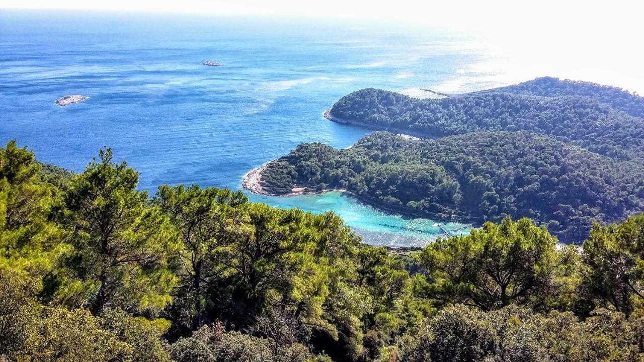 Authentic Ap For 2, Babino Polje,Mljet Lejlighed Eksteriør billede