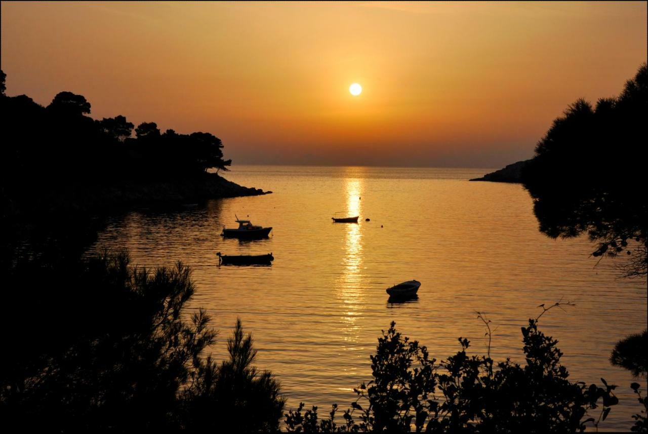 Authentic Ap For 2, Babino Polje,Mljet Lejlighed Eksteriør billede