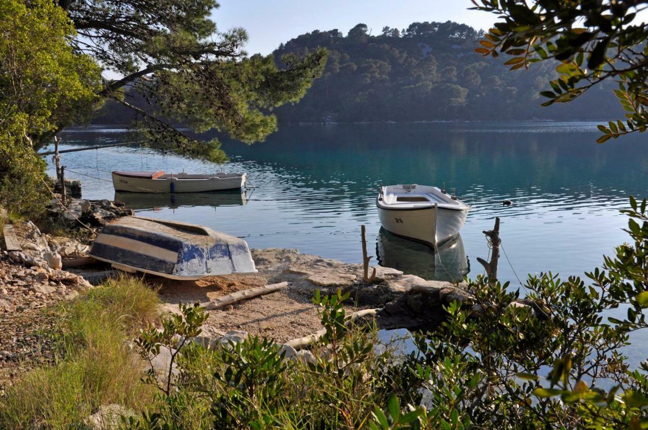 Authentic Ap For 2, Babino Polje,Mljet Lejlighed Eksteriør billede
