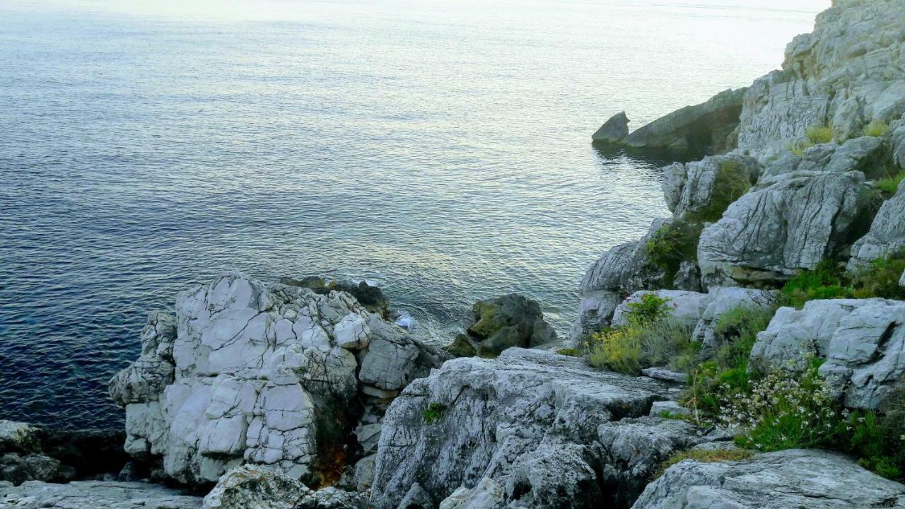 Authentic Ap For 2, Babino Polje,Mljet Lejlighed Eksteriør billede
