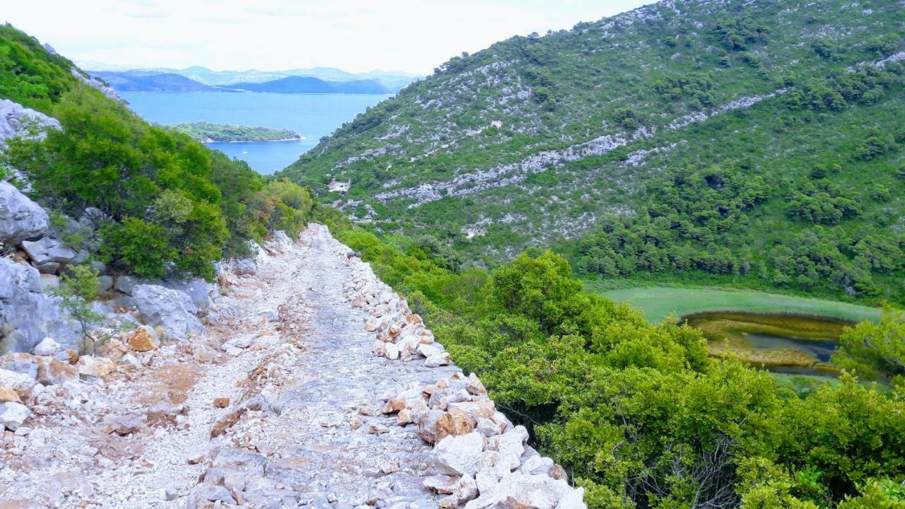 Authentic Ap For 2, Babino Polje,Mljet Lejlighed Eksteriør billede