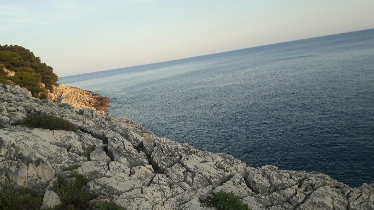 Authentic Ap For 2, Babino Polje,Mljet Lejlighed Eksteriør billede